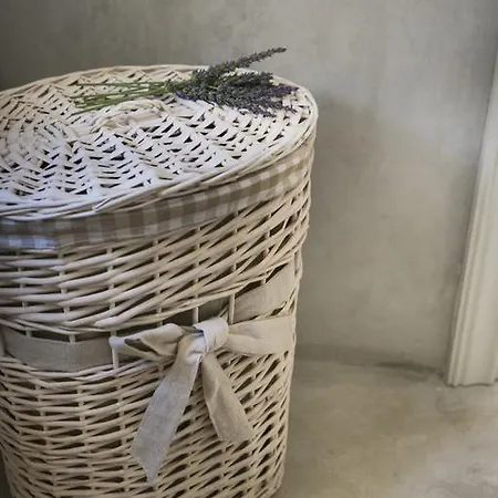 Iconic - Rosa Vila *